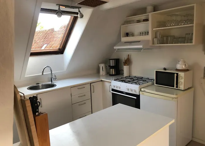 公寓 Med Adgang Til Idyllisk Have 斯瓦尼克